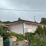 Dolores Pila (Livorno)